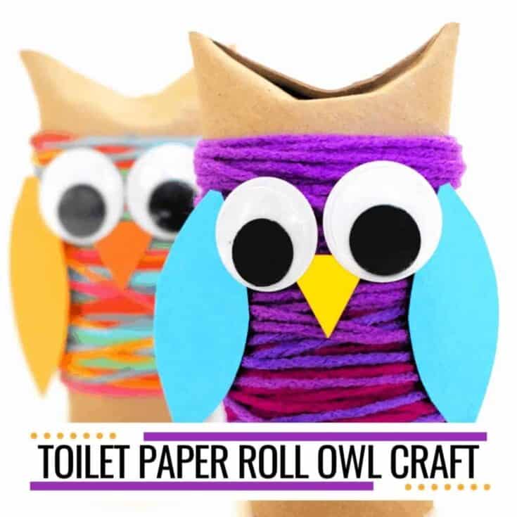 Image for Toilet Paper Roll Owl Craft