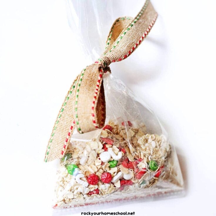 A small clear plastic bag filled with oats and colorful red, green, and white sprinkles, tied at the top with a brown ribbon edged in red and green stitching. The bag is labeled with the website “rockyourhomeschool.net” at the bottom.