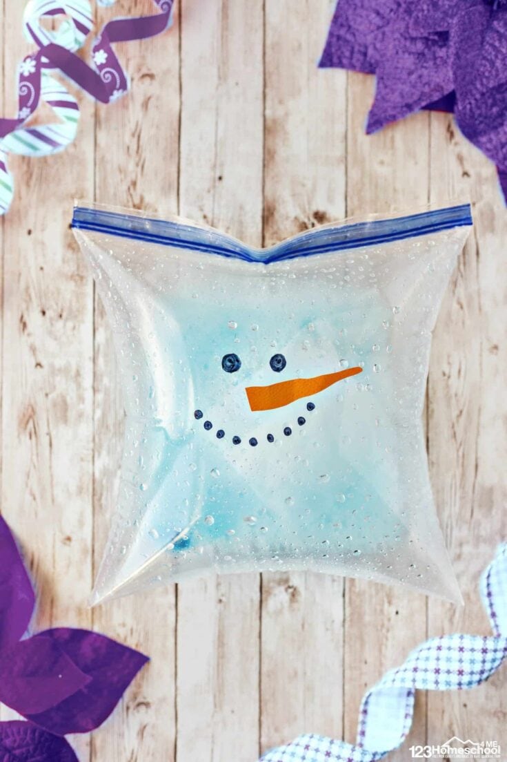 Clear ziplock bag decorated like a snowman with black eyes, a smiling mouth made of dots, and an orange carrot-shaped nose, puffed up from a chemical reaction inside. The bag sits on a wooden surface surrounded by paper snowflakes and purple decorations.