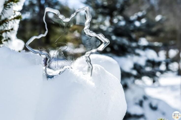 Clear ice ornament shaped like a snowflake resting on a mound of fresh snow, with a forest of snow-covered evergreen trees blurred in the background. The ice catches the sunlight, highlighting its smooth, detailed edges.