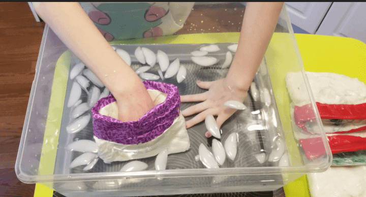 Child testing insulation by placing one hand inside a homemade blubber glove made from plastic bags and fat-like material, while the other hand touches icy water directly in a clear bin filled with ice cubes. The experiment demonstrates how animals stay warm in freezing environments.