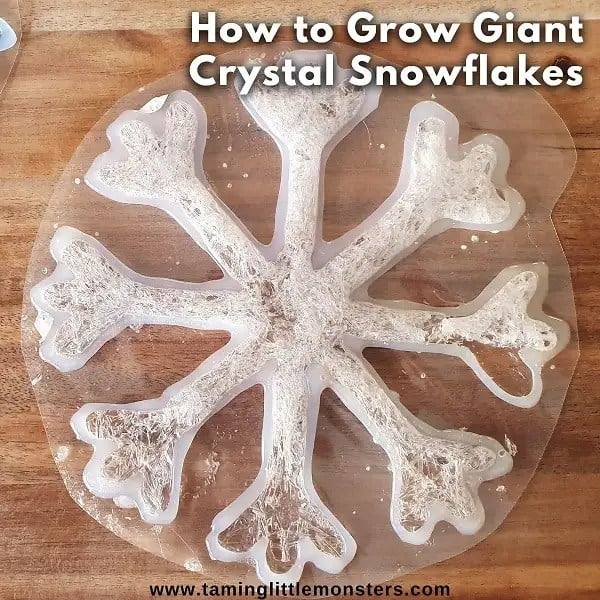 Large translucent snowflake-shaped mold with delicate white crystals forming along its branches, placed on a wooden surface. Text at the top reads “How to Grow Giant Crystal Snowflakes,” showing a winter science experiment focused on crystal formation.