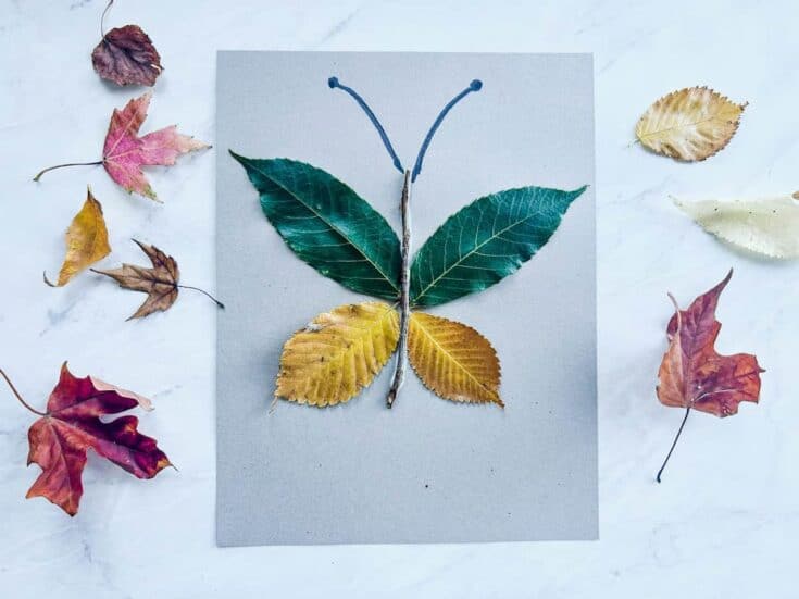Leaf art butterfly made from a small twig body with two green leaves for upper wings and two yellow leaves for lower wings, arranged on gray paper. Scattered colorful autumn leaves surround the craft on a light marble background.
