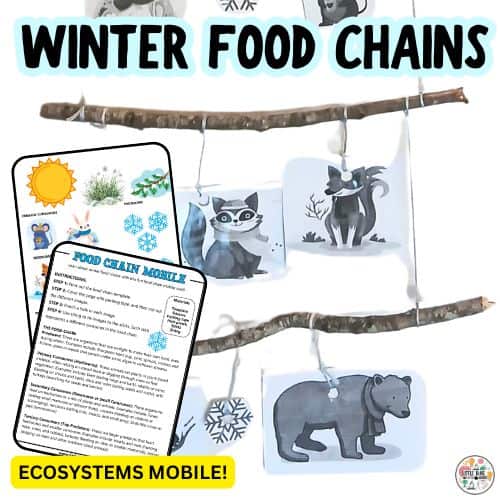 Winter food chain mobile craft made from twigs and string, with laminated cutouts of producers, primary consumers, and secondary consumers like plants, a mouse, a raccoon, and a fox. Includes educational printouts explaining the food chain steps and ecosystem roles, labeled “Ecosystems Mobile!” in a yellow banner.