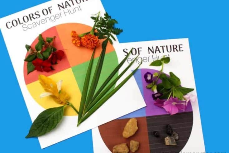 Colors of nature scavenger hunt printables with color wheel circles, shown with matching nature items placed on top. Leaves flowers grass and small rocks are arranged by color on the pages.