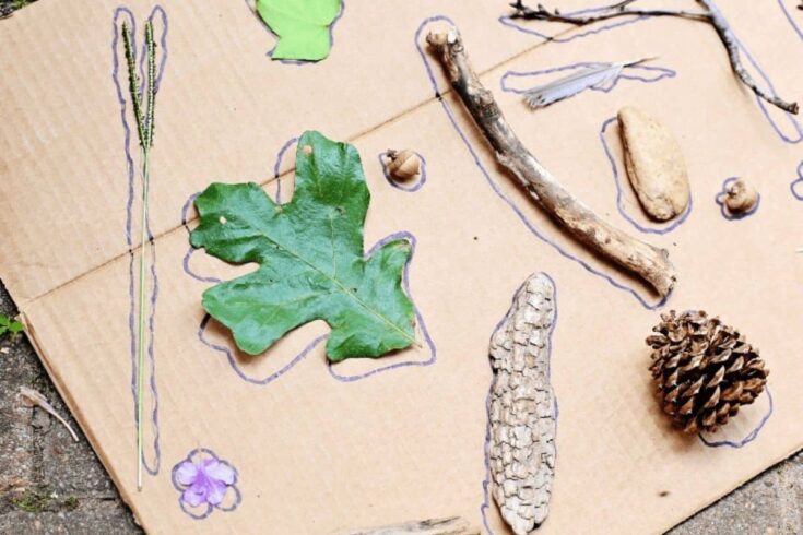 Nature scavenger hunt matching activity on cardboard with hand drawn outlines. Leaves sticks acorns a feather a rock and pinecones are placed on top of their traced shapes.