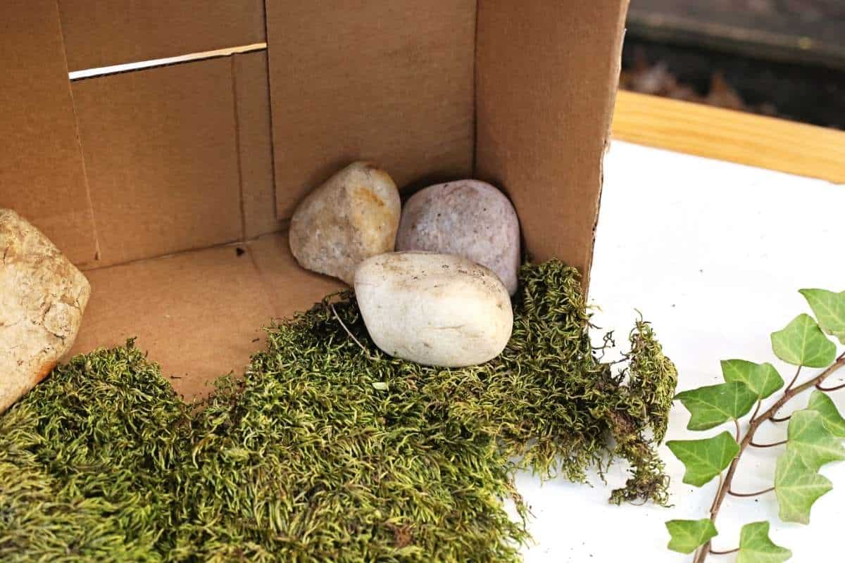 Close up of the inside corner of an open cardboard box on a white tabletop. Several smooth stones rest against the box wall on top of a thick layer of green moss that spills out onto the table. A trailing ivy vine with green leaves lies to the right of the moss.