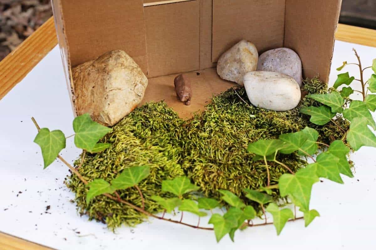 A miniature woodland scene shows a small brown bear figurine inside a cardboard box structure surrounded by green moss, ivy vines, and smooth stones. The moss covers the foreground like forest ground while rocks are stacked along the back wall.