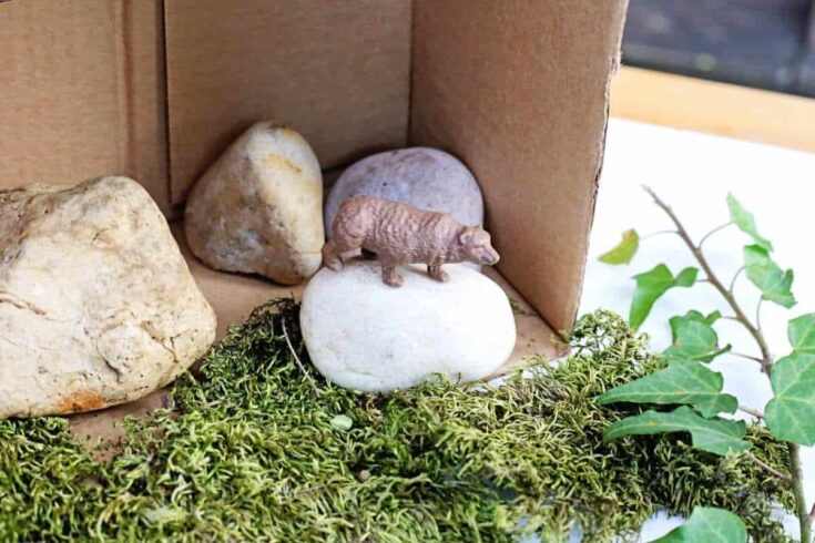 Close up of an open cardboard box with green moss covering the bottom edge and spilling onto a white surface. Several smooth stones sit inside the box and a small brown animal figurine stands on a white stone in the center. An ivy vine with green leaves rests along the right side of the moss.