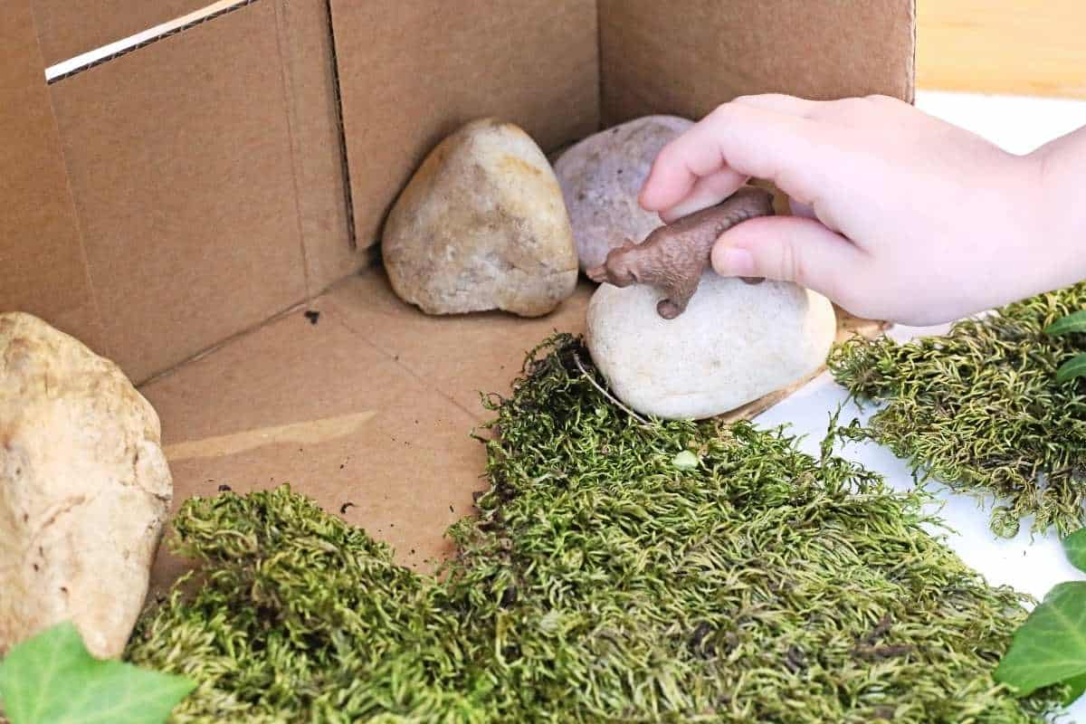 A child’s hand places a small brown bear figurine onto a smooth white stone inside a cardboard box diorama. Green moss covers the ground with scattered rocks creating a miniature forest scene.