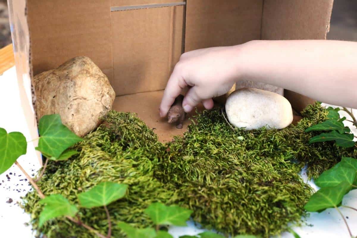 A hand reaches into an open cardboard box and holds a small brown animal figurine near the center. Green moss covers the bottom edge of the box and spills onto a white tabletop with ivy leaves scattered across it. A large tan rock sits on the left inside the box and a smooth white stone sits on the right.