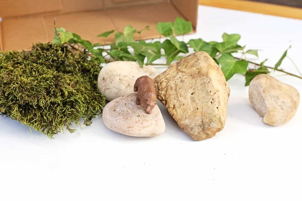 A small brown animal figurine stands on a smooth white stone surrounded by natural elements including moss, ivy vines, and assorted rocks. The scene appears staged on a white surface with a cardboard box in the background, suggesting a nature inspired or miniature display setup. The image highlights texture contrast between the soft greenery, rough stones, and the tiny carved figure.