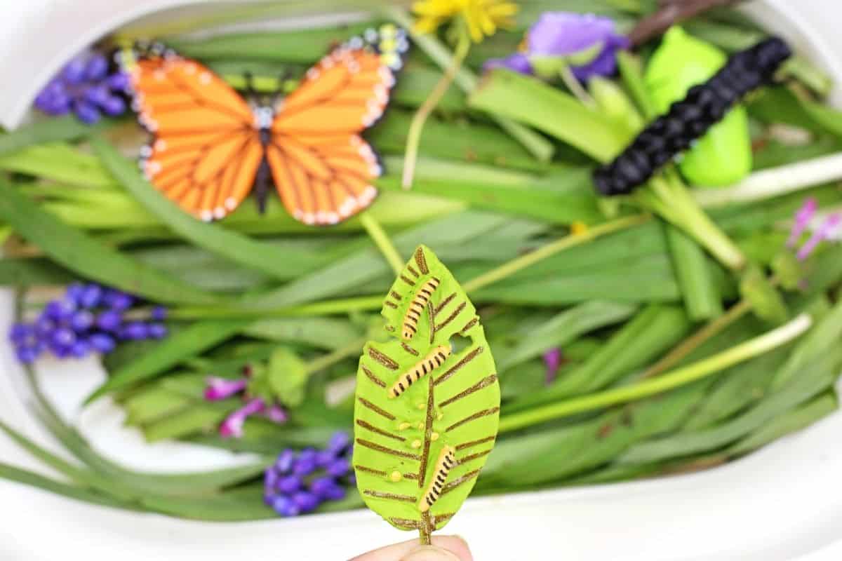 Child holding a green leaf toy with tiny caterpillars above a butterfly life cycle sensory bin filled with leaves, flowers, a butterfly, caterpillar, and chrysalis toys. The sensory activity highlights the stages of the butterfly life cycle using hands on nature inspired materials.