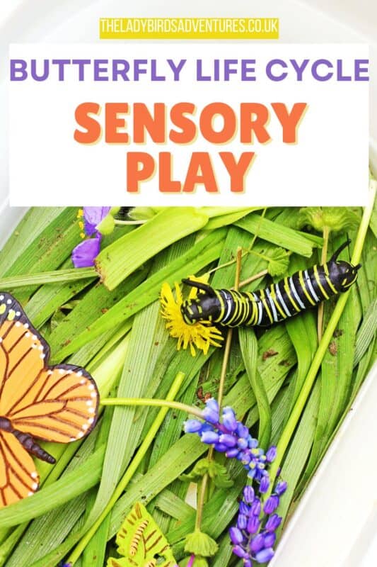 Butterfly life cycle sensory play setup with green leaves, purple flowers, a monarch butterfly toy, caterpillar, and leaf with tiny caterpillars inside a white sensory tray. Text overlay reads “THELADYBIRDSADVENTURES.CO.UK” and “BUTTERFLY LIFE CYCLE SENSORY PLAY”.