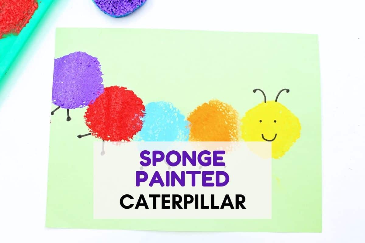 Colorful sponge painted caterpillar craft on light green paper with purple, red, blue, orange, and yellow sponge print circles forming the caterpillar body. The yellow circle has a smiling face and black antennae, and the center text reads “SPONGE PAINTED CATERPILLAR”.