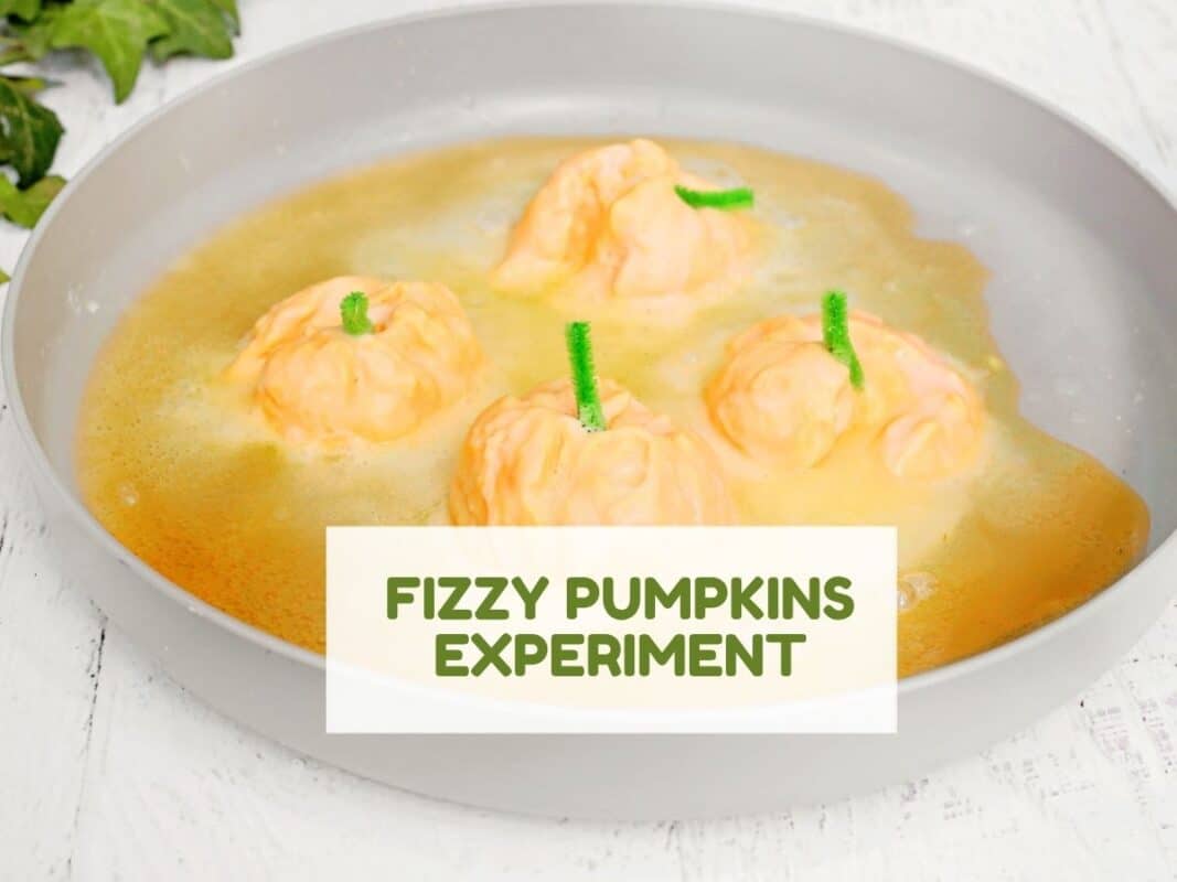 Four small orange pumpkins with green stems sit in a shallow white dish filled with a yellow-orange fizzy liquid, with bubbles and foam surrounding them. Text over the photo reads "FIZZY PUMPKINS EXPERIMENT."