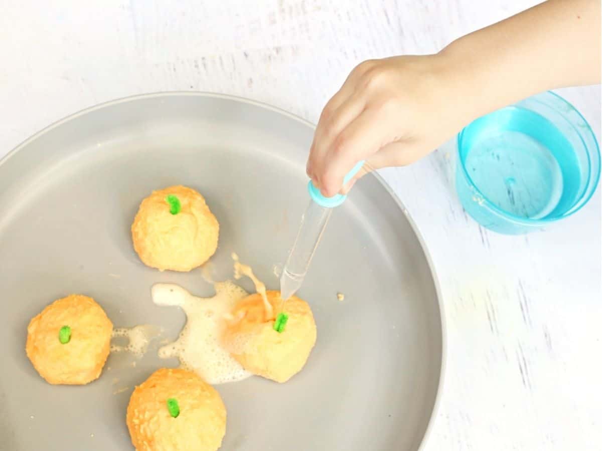 A hand uses a blue plastic dropper to add liquid to an orange pumpkin shape in a gray dish, causing white foam to form around it. Three other pumpkin shapes with green stems sit nearby, with a blue bowl of liquid beside the dish.
