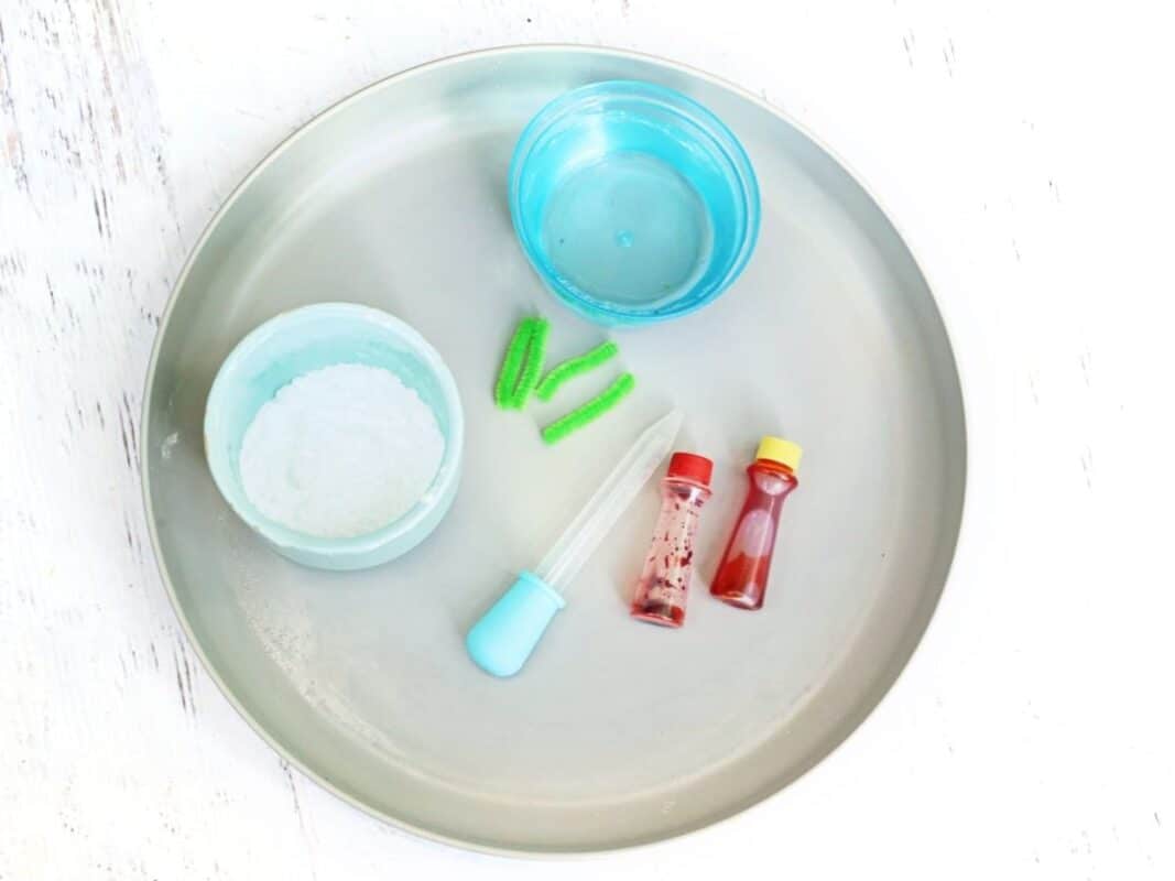 Supplies for the Fizzy pumpkins experiment arranged on a large gray plate, including a bowl of white powder, a bowl of blue liquid, green pipe cleaners, a plastic dropper, and two small bottles of red coloring.
