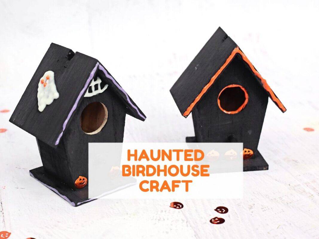 Two black birdhouses decorated with orange and purple accents, white ghost details, and small pumpkin embellishments. The finished haunted birdhouse craft is displayed on a white surface with Halloween-themed decorations.