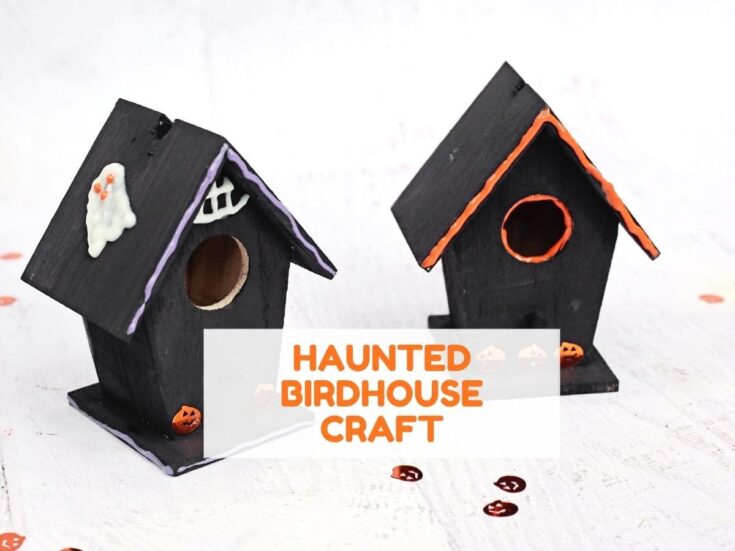 Two black birdhouses decorated with orange and purple accents, white ghost details, and small pumpkin embellishments. The finished haunted birdhouse craft is displayed on a white surface with Halloween-themed decorations.